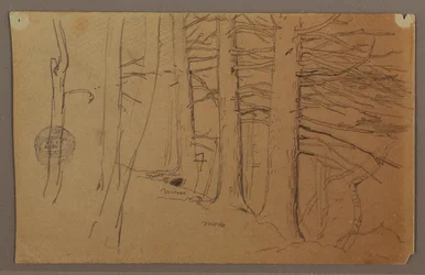 Untere Teile einer Gruppe von Bäumen auf einem Hang, 1862