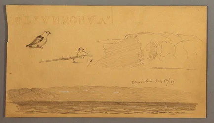 Zeichnung, Mann im Boot, Vogel, Klippen, Küste, 6. Juli 1859