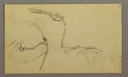Zeichnung, Berghang, Juli 1868