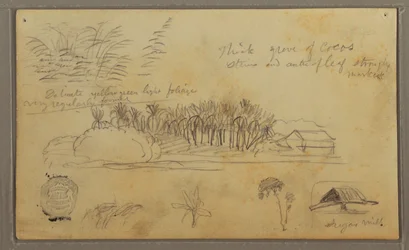 Skizzen, Ecuador oder Kolumbien; Verso: Skizzen, Ecuador oder Kolumbien, 1857