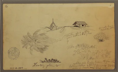 Himmel über dem Meer; Verso: Botanische Skizzen, Dächer, Mai 1857