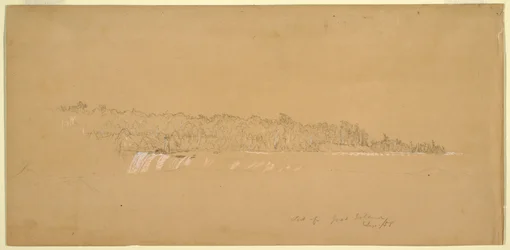 Terrapin Rocks und der östliche Teil von Goat Island vom kanadischen Ufer, August 1858