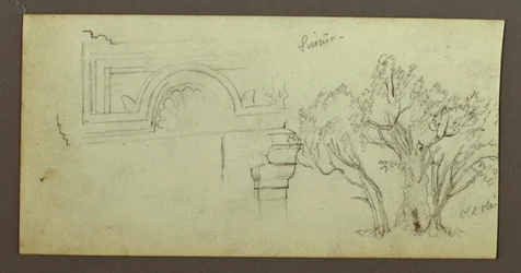 Bäume, gekerbt, Februar möglicherweise 1868