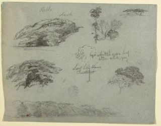 Bäume, Baumwipfel und ein bewaldetes Ufer, Saddleback, Maine, 1853