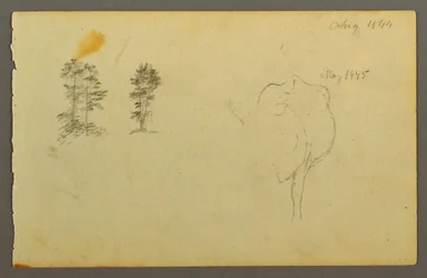 Bäume, Kuh, 1844