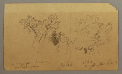 Zwei Baumstudien, Oktober 1865