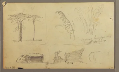 Ansichten des Ostufers des Guayas-Flusses, gegenüber von Guayaquil, Ecuador, Mai 1857