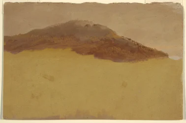 Bewaldeter Hang, 1870–80