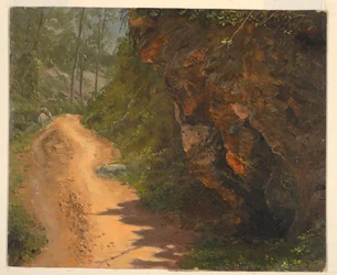 Zeichnung, Waldweg, Jamaika, Juni 1865