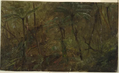 Im Wald, Jamaika