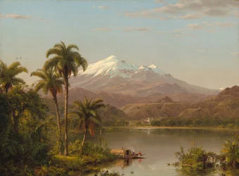 Tamaca-Palmen, 1854