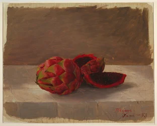Die Pitajaya-Frucht, Kolumbien