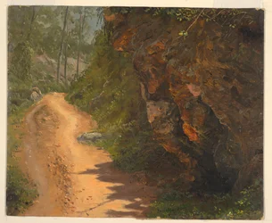 Waldweg, Jamaika