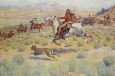 Jagd auf der Prärie, aus Colliers Weekly, 1904