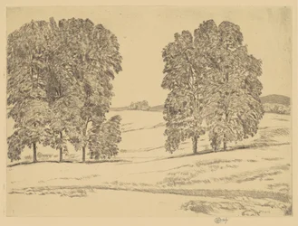 Hickories in einem Heufeld, 1917