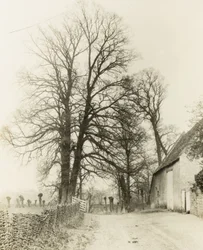 Kelmscott Manor: Straße und Eingang