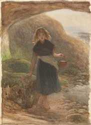 Die Muschelsammlerin