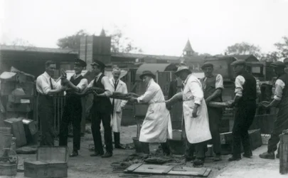 Ein 20 Fuß langer Python, der von elf Mitgliedern des Zoologischen Gesellschaftspersonals getragen wird, Londoner Zoo, Juni 1925