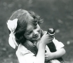 Ein junges Mädchen Betty hält eine östliche Indigo-Schlange, London Zoo, 1924