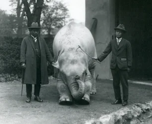 Albino-Weißer Elefant Pawah mit Dr. Saw Po Min und Sohn, Londoner Zoo, Mai 1926