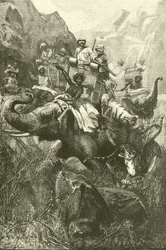 Tigerjagd in Indien (Stich)