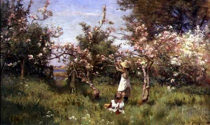 Blüten sammeln