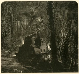 Aufstieg auf dem Ocklawaha-Fluss bei Nacht, 1872