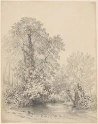 Bäume am Fluss bei Castle Bromwich