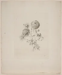 Blumenmotiv
