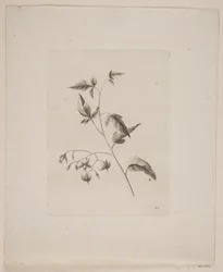 Blumenmotiv