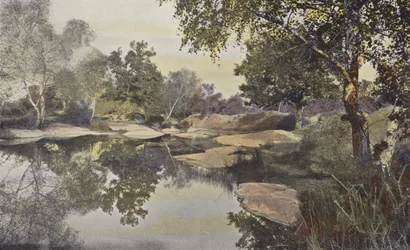 Fontainebleau, Wald, Teich von Franchard