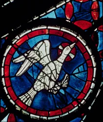 Eine Taube (Detail)