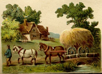 Werbe-Chromolithographie, geschnitzt, die eine ländliche Szene darstellt, zwei Pferde, die von einem Bauern geführt werden und einen Strohwagen ziehen