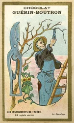 Werbe-Chromolithographie von Guerin Boutron Schokoladen, Arbeitsinstrumente, 84 verschiedene Motive, Baumschere