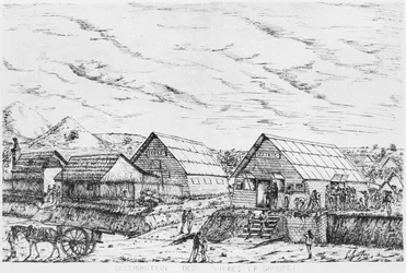 Album der Isle of Pines, Verteilung der Vorräte, 1878-79