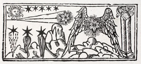 Bärtige Sterne, eine Sternschnuppe, Schweif eines Kometen, ein langhaariger Stern, ein festgehefteter Stern