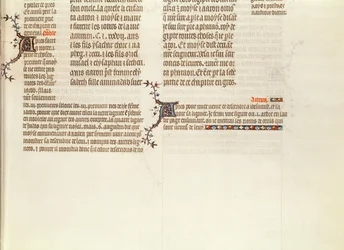 Unterseite einer Seite ohne Miniatur, aus der Bibel von Jean de Sy, ca. 1355