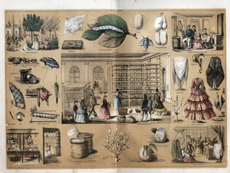 Beschreibung der Kultur und Seidenprodukte: In der Mitte der Magnet und die Seidenraupenzucht. Darstellung der Herstellung von Seide seit der Pflanzung der Maulbeerbäume, der Zucht der Seidenraupen, der Arbeit des Spinnens und der Seidengeschäfte. Tafel „D