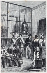 Destillierladen in Paris im 19. Jahrhundert - Gravur in „Wissenschaften für alle zugänglich gemacht - Physik und Chemie“ von Alexis Clerc - Ende 19. Jahrhundert - Private Sammlung
