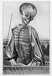 Doktor Tod, aus einem Stundenbuch, Illustration aus Wissenschaft und Literatur im Mittelalter und in der Renaissance, geschrieben und graviert von Paul Lacroix, 1878