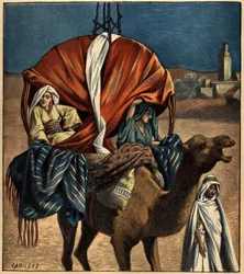 Dromedar als Transportmittel. Tunesien, Afrika