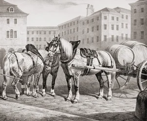 Englische Bauernpferde, 1823