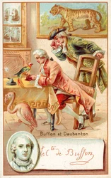 Georges-Louis Leclerc, Comte de Buffon, und Louis-Jean-Marie Daubenton, französische Naturforscher