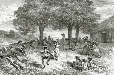 Ernte von Coca, Peru, Illustration aus der Zeitschrift Le Tour du Monde, 1877