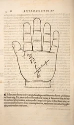 Illustration aus Chiromantia von Joannes Indagioe, Straßburg, 1531