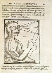 Illustration aus De Homine Figuris von Rene Descartes, veröffentlicht in Den Haag, 1662