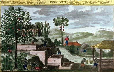 Indigoterie in Westindien, (Detail) aus „Allgemeine Geschichte der Antillen, bewohnt von den Franzosen“ von Du Tertre, frühes 19. Jahrhundert