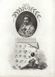 Joseph Pitton de Tournefort