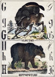 Buchstabe G Vielfraß; H Nilpferd. Gravur in "Alphabet der wilden Tiere". 9. Serie. Bildersammlung von Epinal, Pellerin, Drucker-Verleger, um 1870