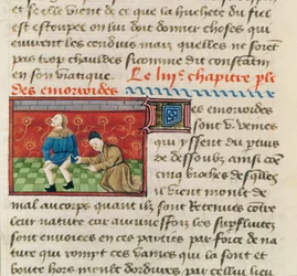 Untersuchung eines Patienten mit Hämorrhoiden, aus Le Livre des Propriétés des choses von Barthélemy l